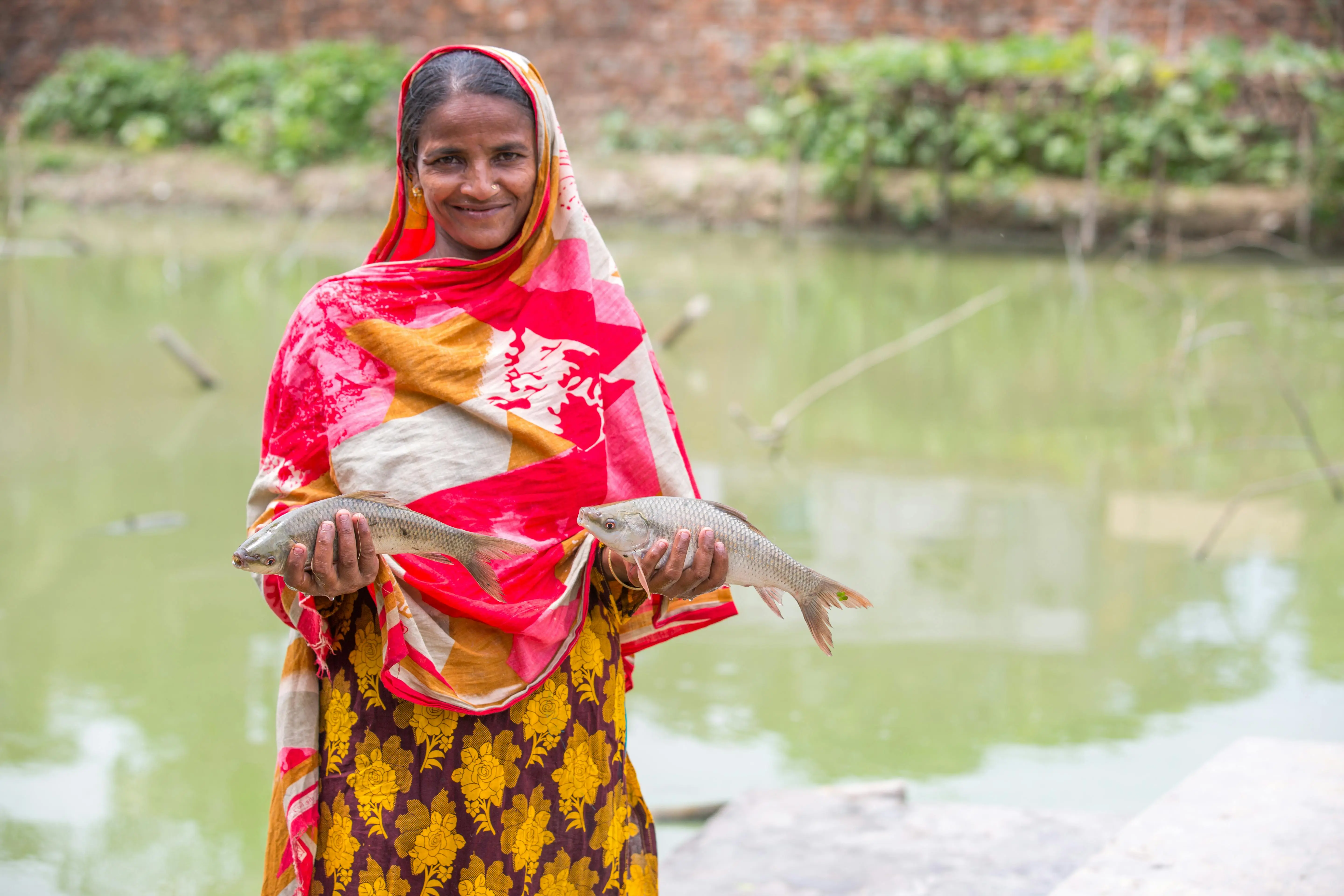Aquaculture Background